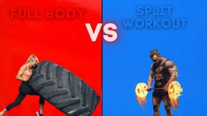 Full body vs split training